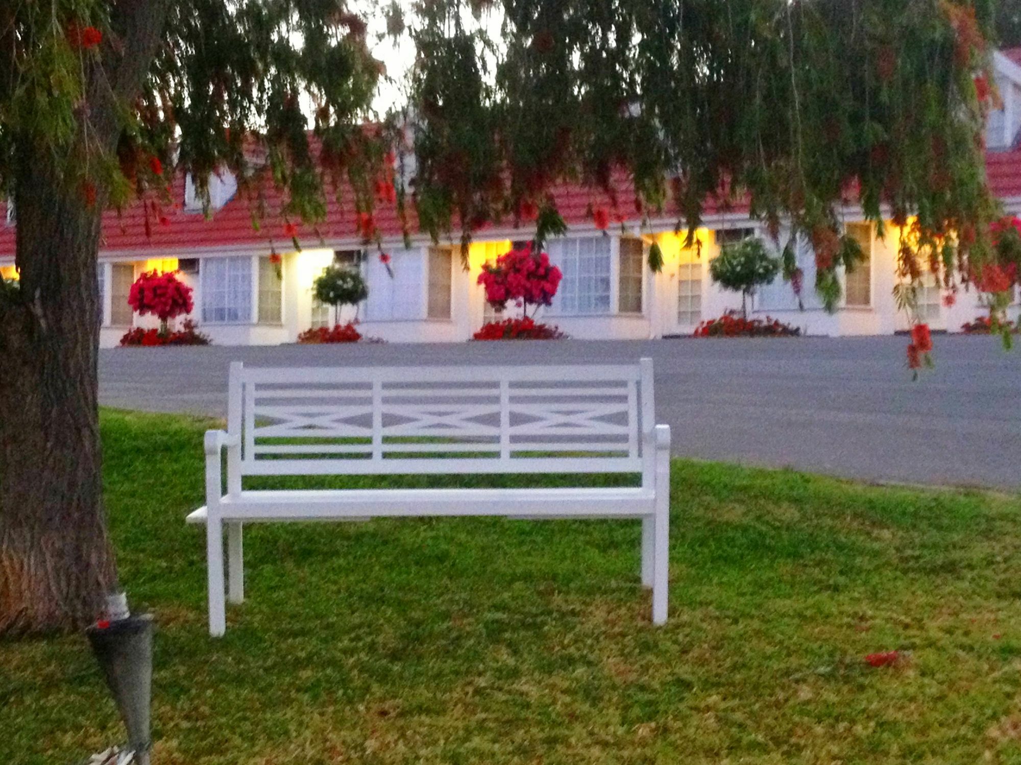 Clare Valley Motel Ngoại thất bức ảnh